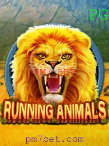 RunningAnimals: A Excitante Aventura do Novo Jogo da PM7.BET